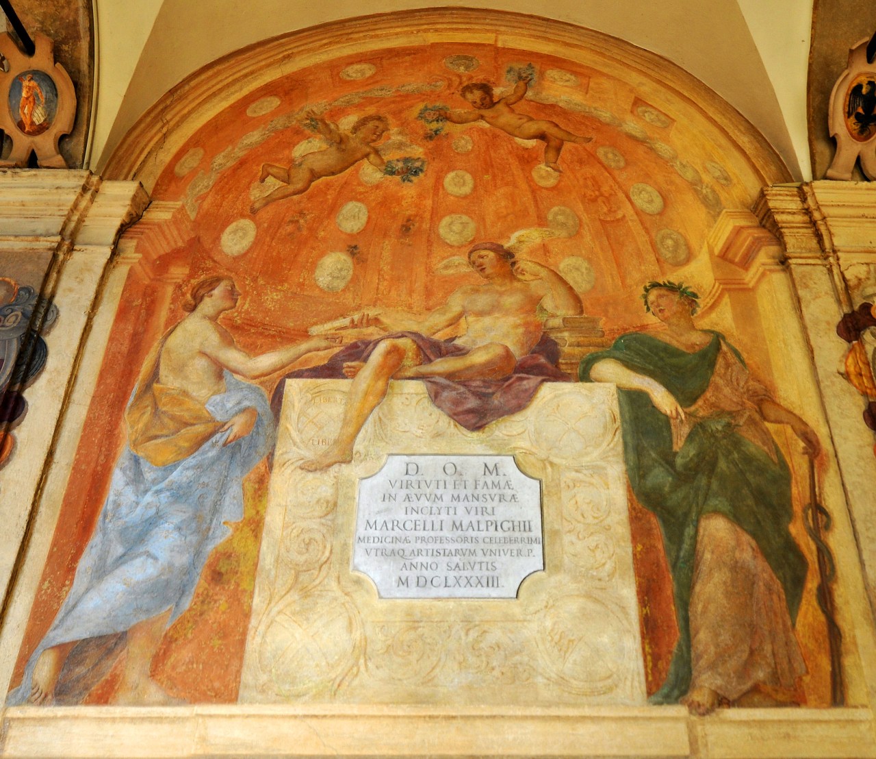 Memoria di Marcello Malpighi