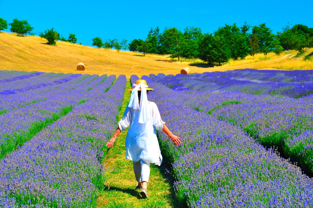 Angoli di Provenza vicino a&nbsp;Bologna