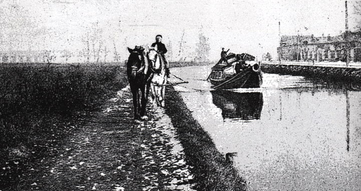 Cavalli traino su Navile