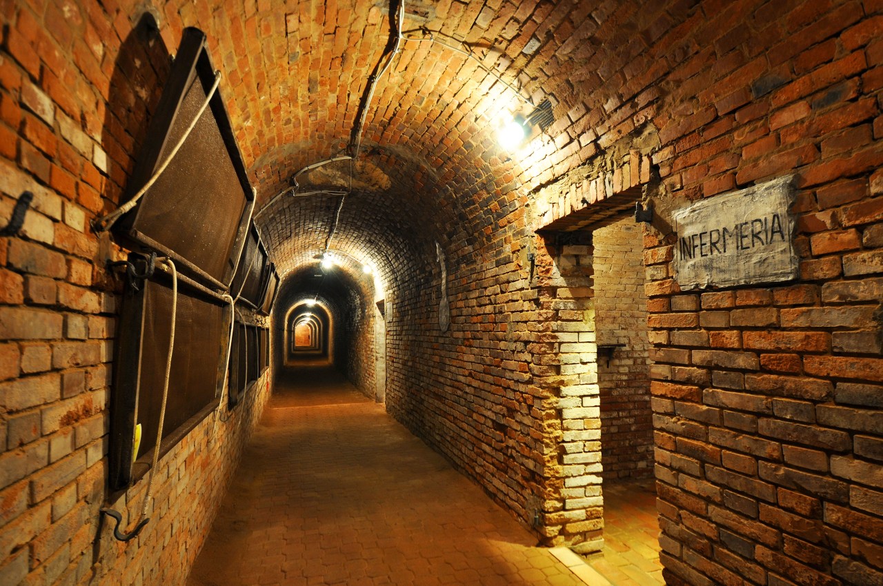 Bologna: Rifugio antiaereo “Vittorio&nbsp;Putti”